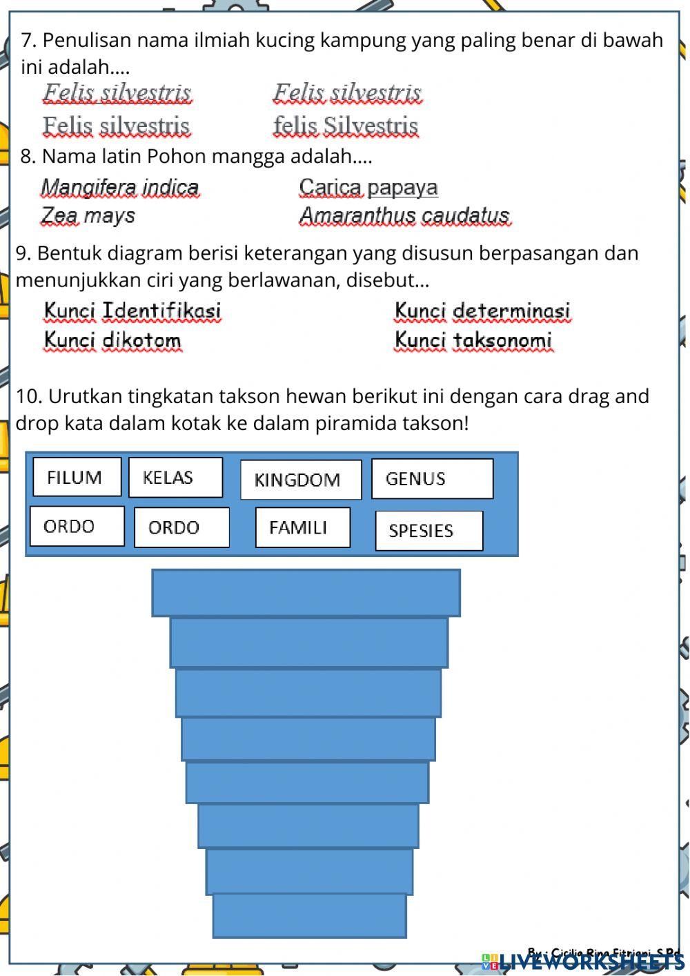 Penilaian Harian : Klasifikasi Makhluk Hidup