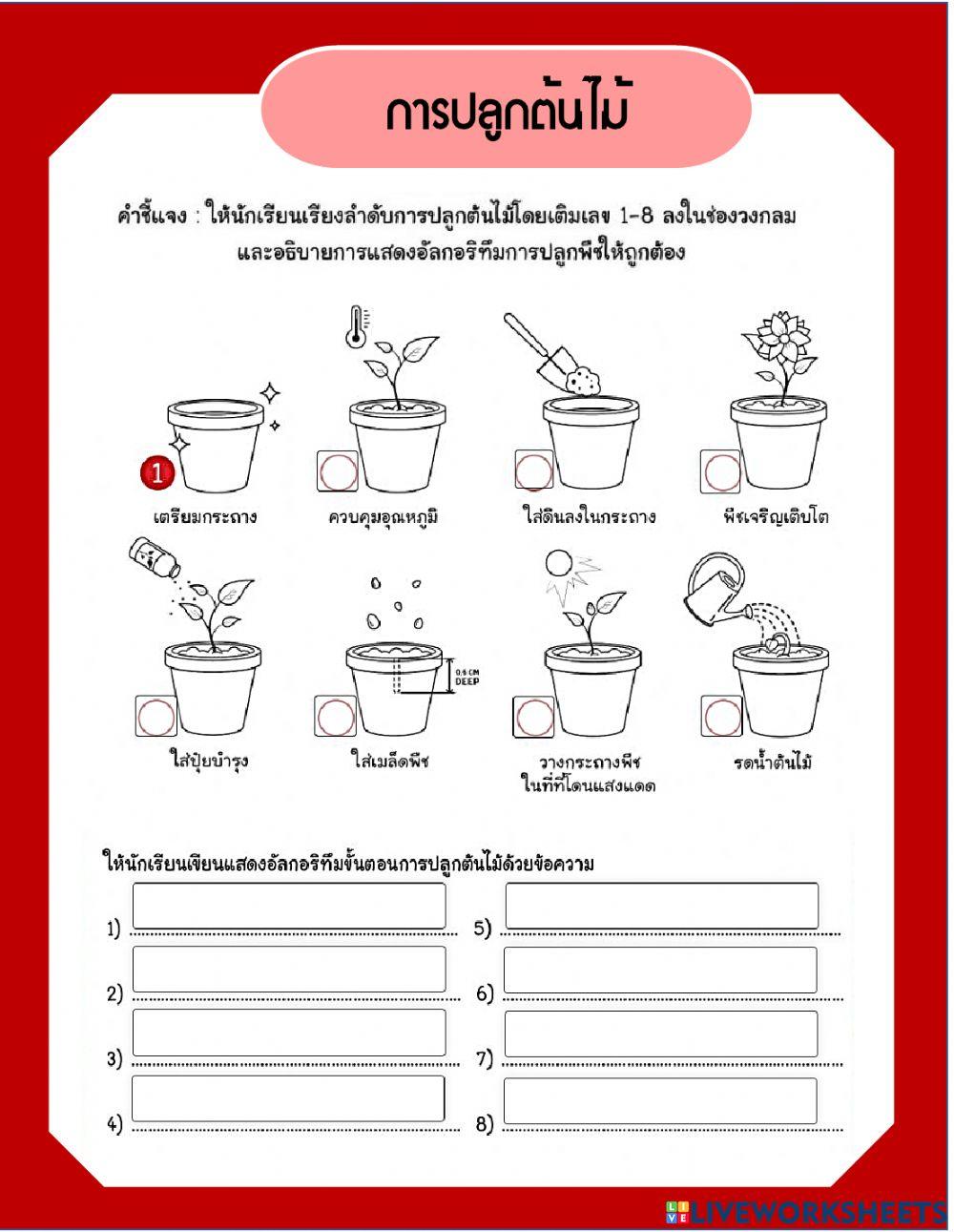 อัลกอริทึม