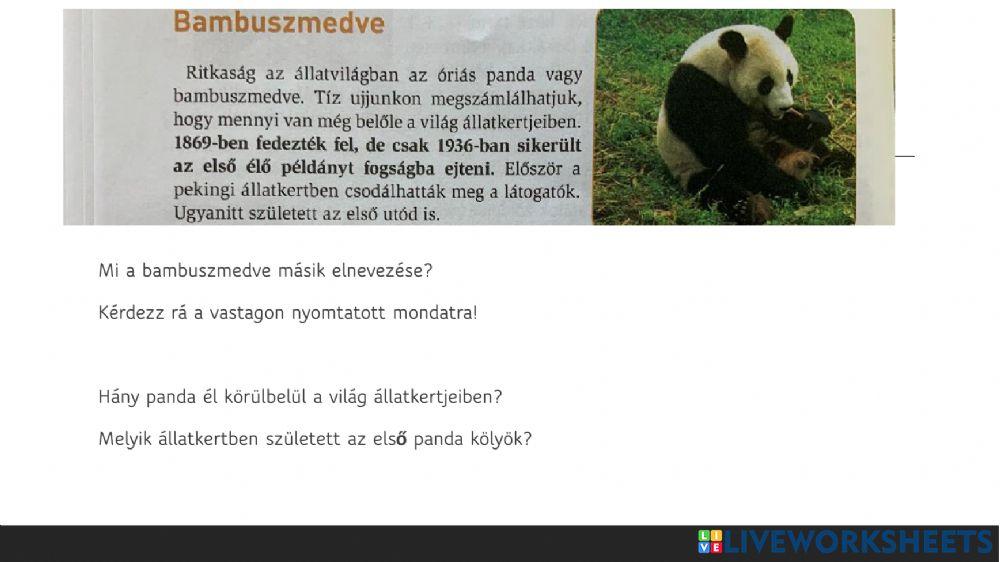 Panda - szövegértés
