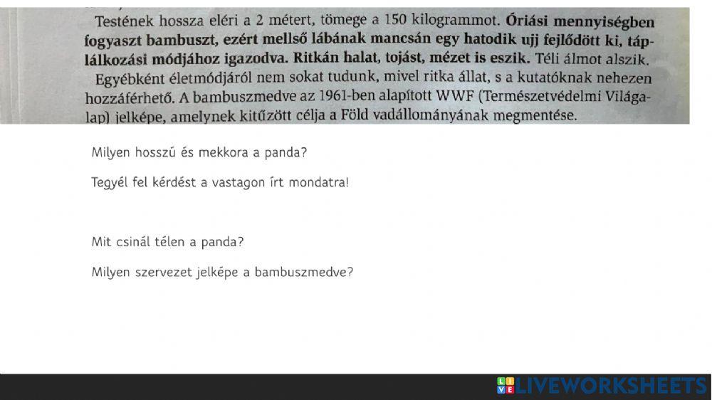 Panda - szövegértés