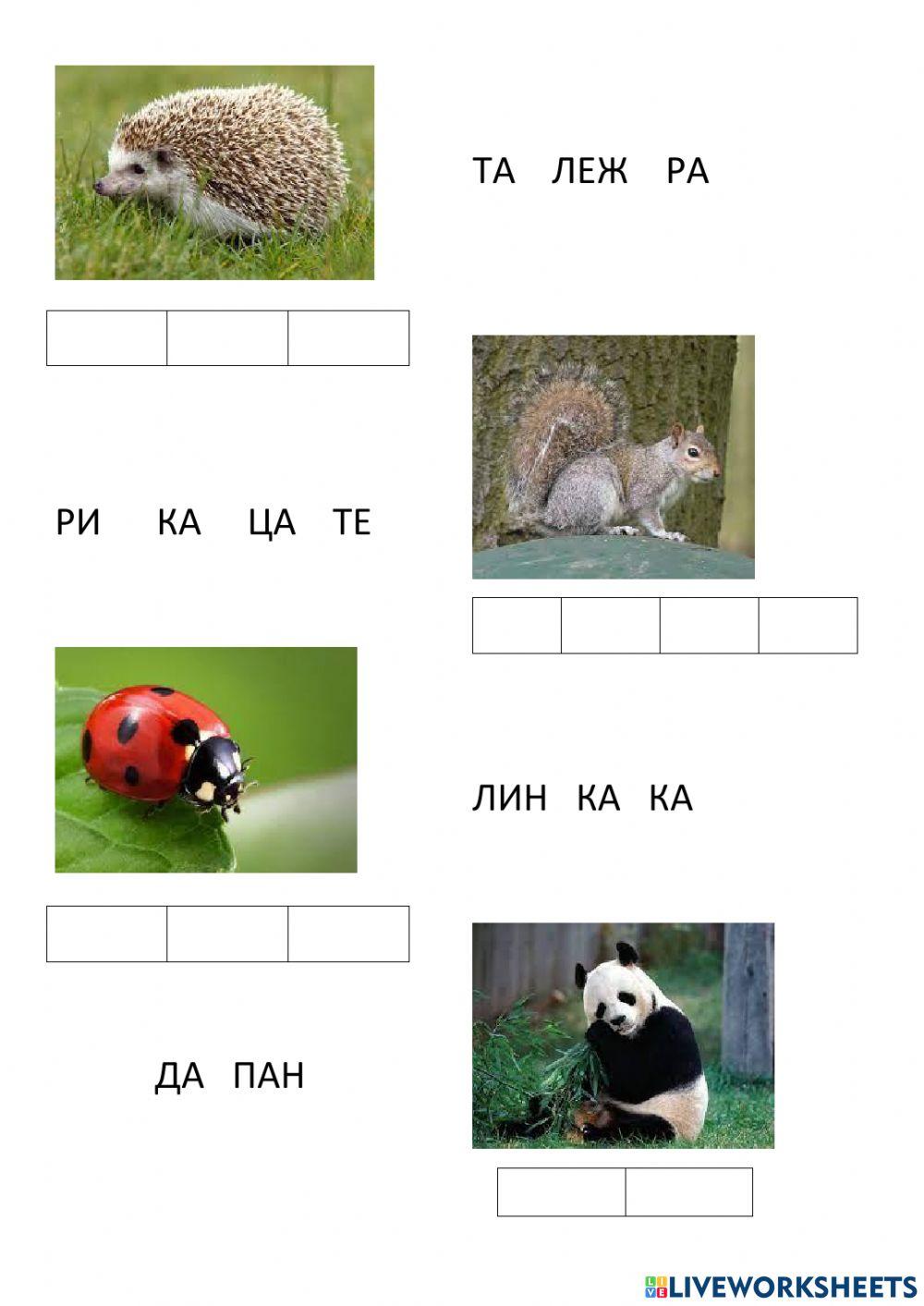 Подготви се за училище, срички