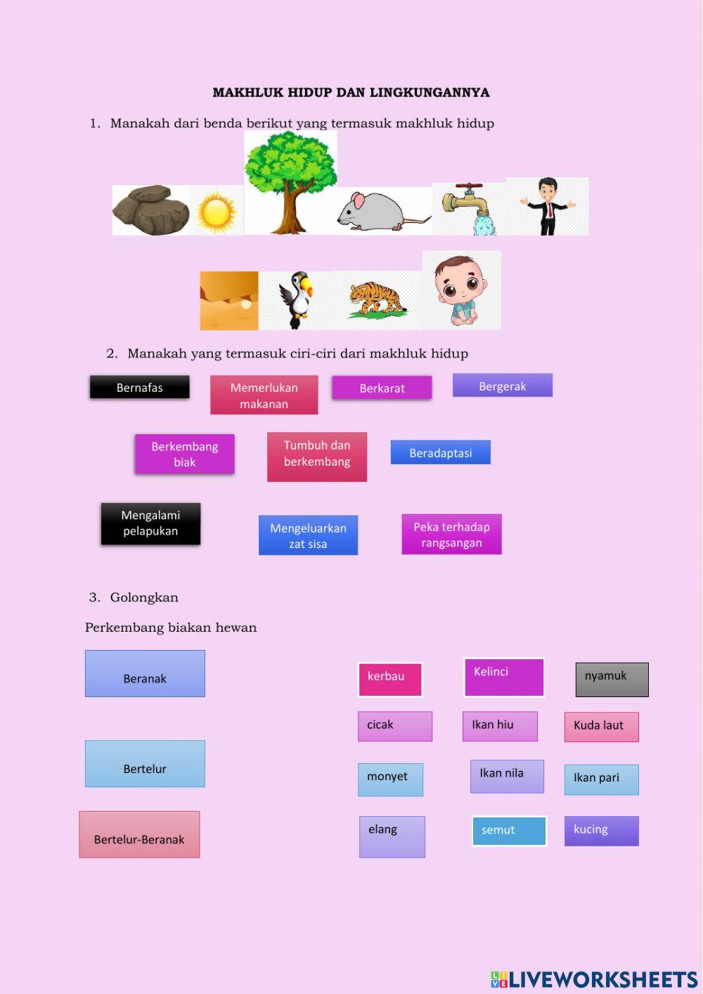 Ciri-Ciri Makhluk Hidup