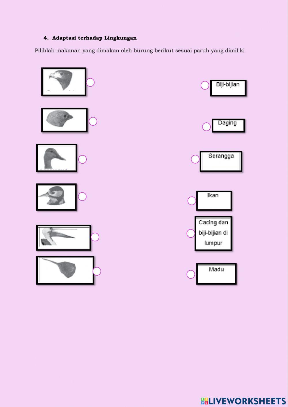 Ciri-Ciri Makhluk Hidup