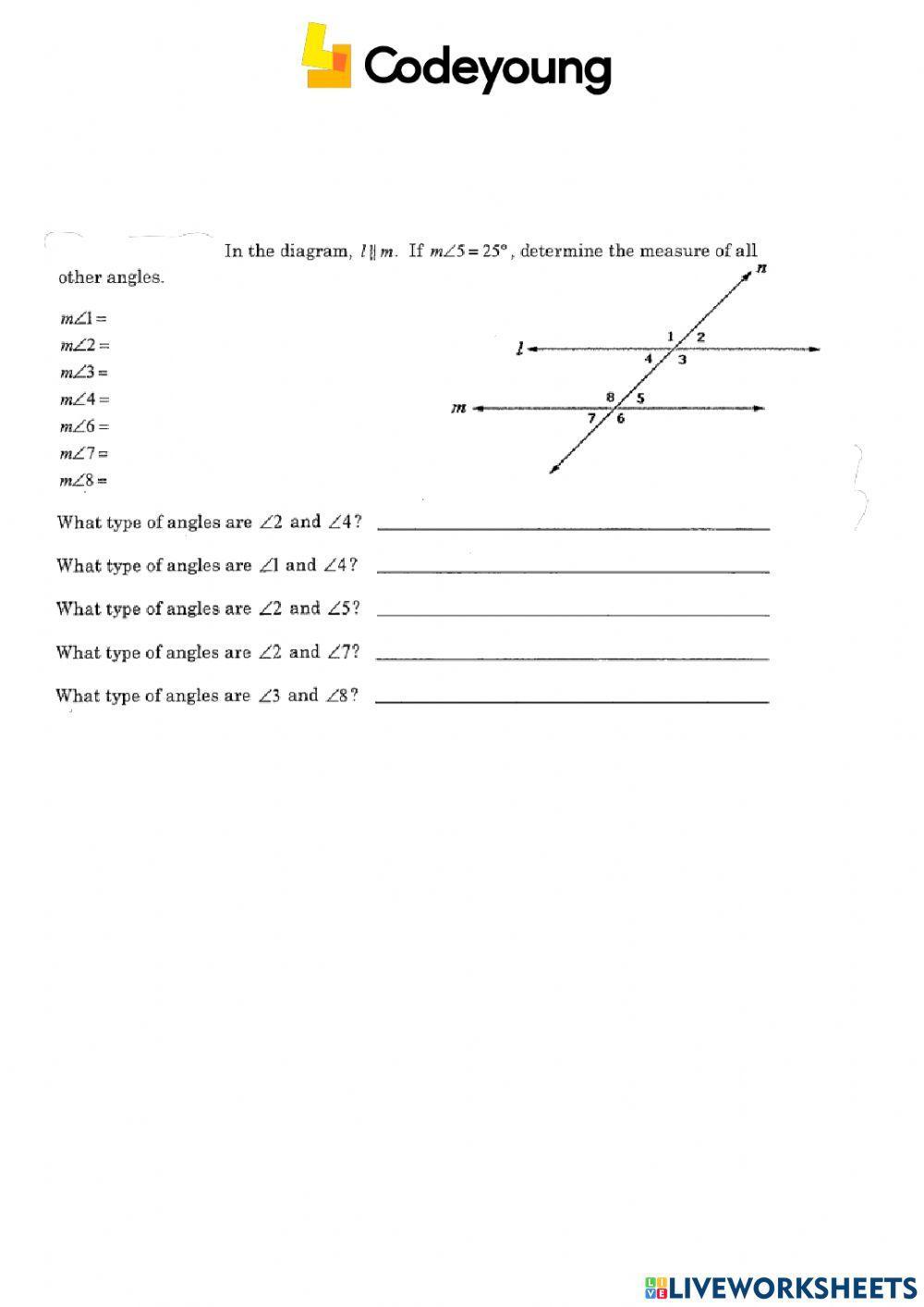 Introduction to Transversal and parallel Lines Application