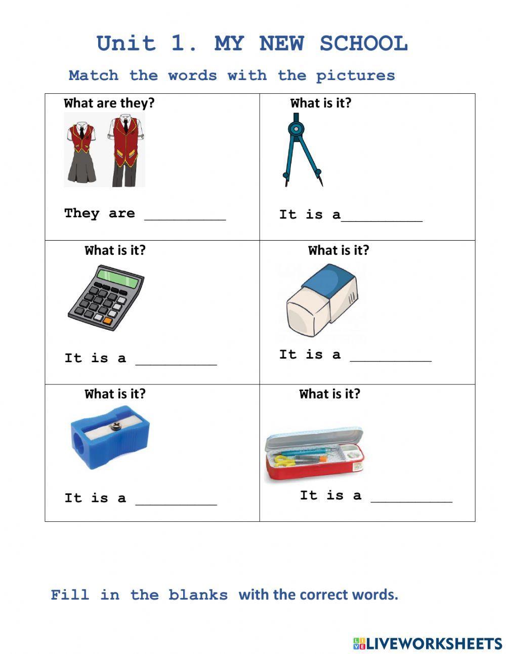 Vocabulary Unit 1 English 6 Global Success
