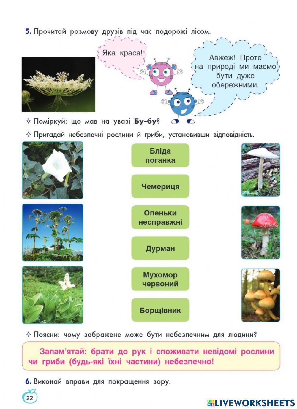 Небезпечні рослини worksheet | Live Worksheets