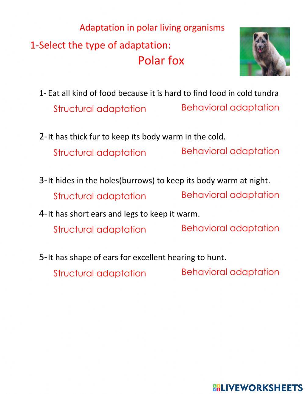 Polar animals Polar animals