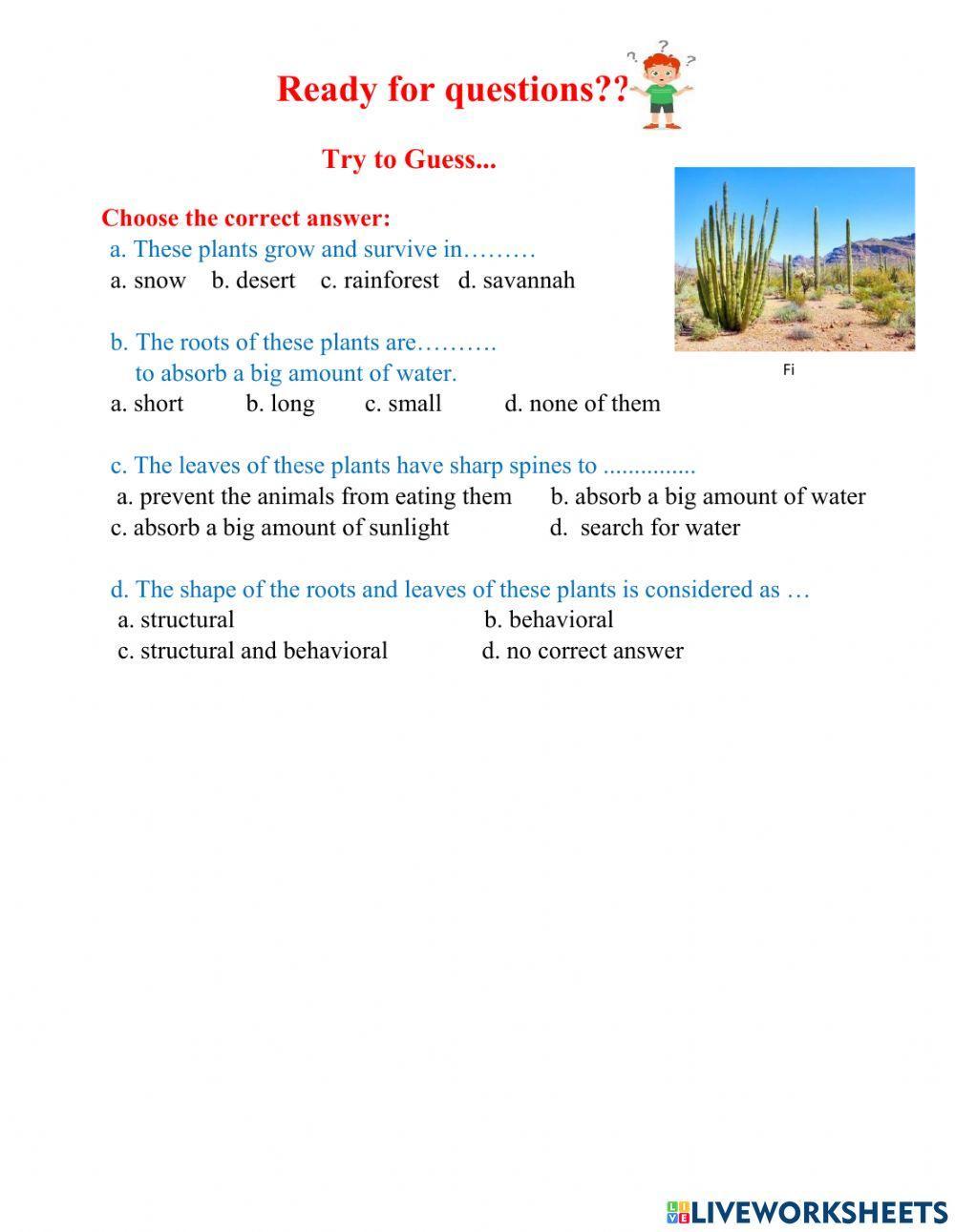 Cactus