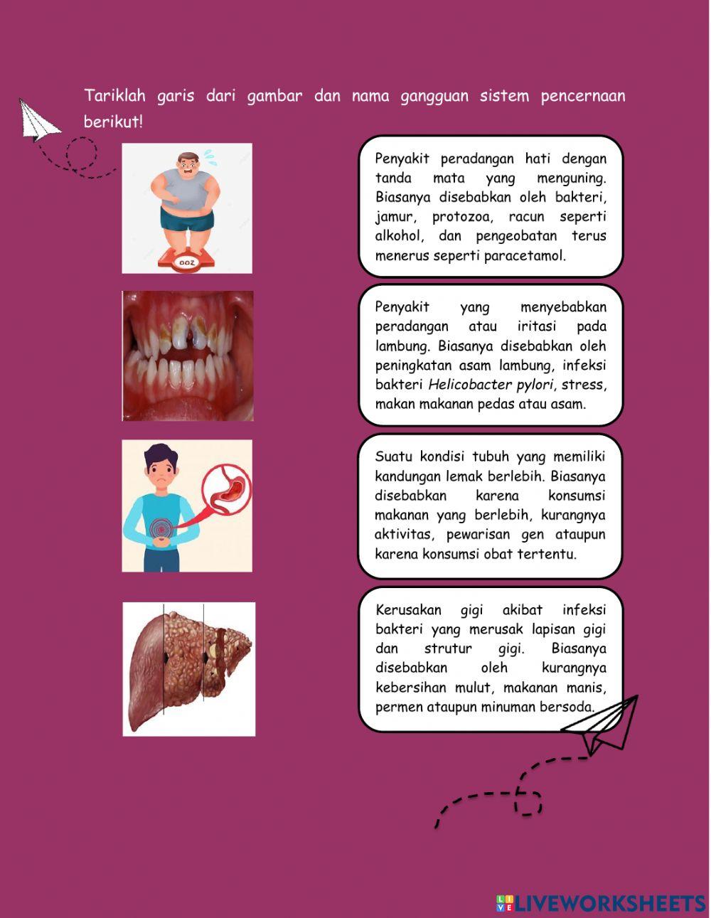 Gangguan pada sistem pencernaan