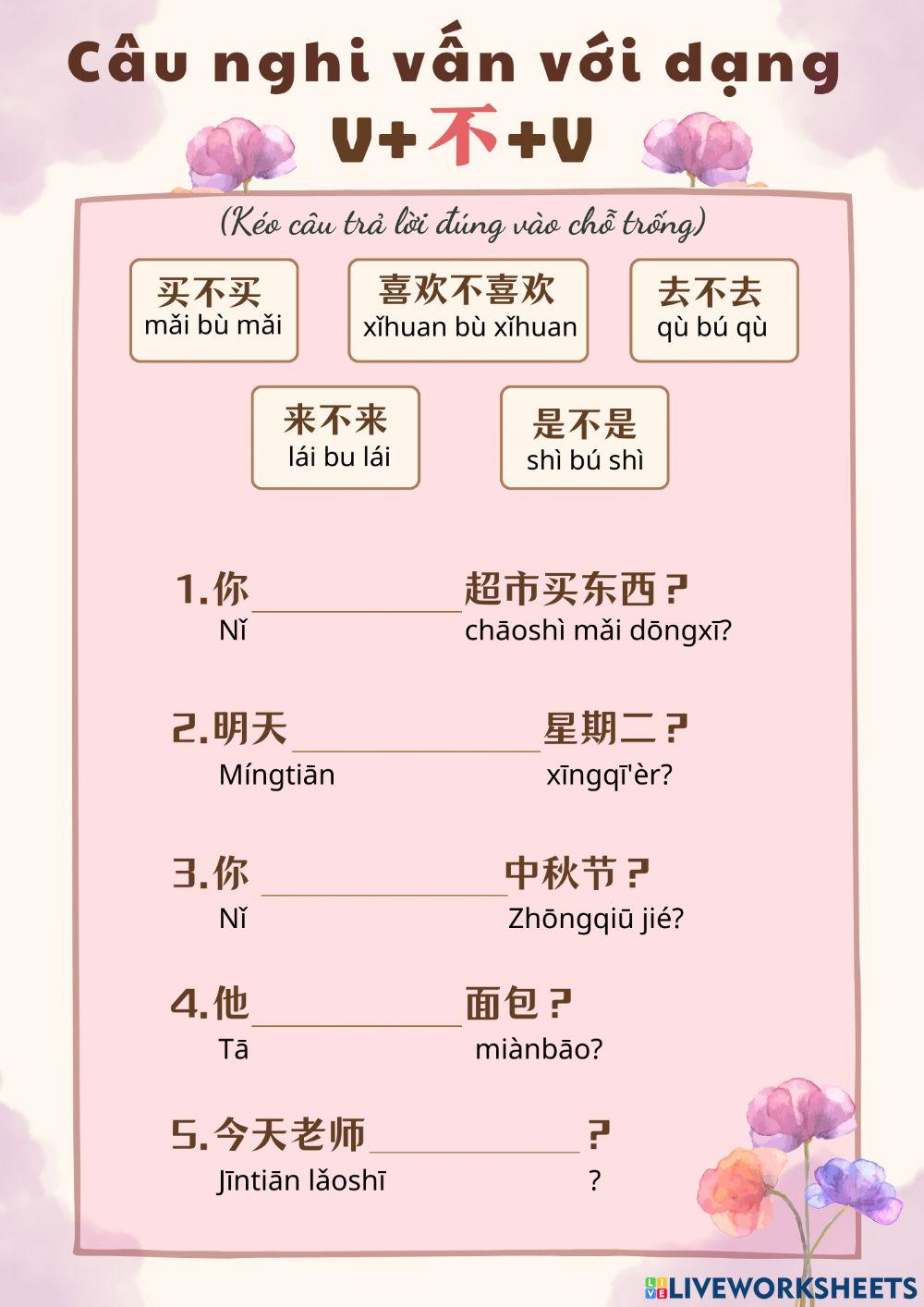 Câu nghi vấn với dạng “V不V”