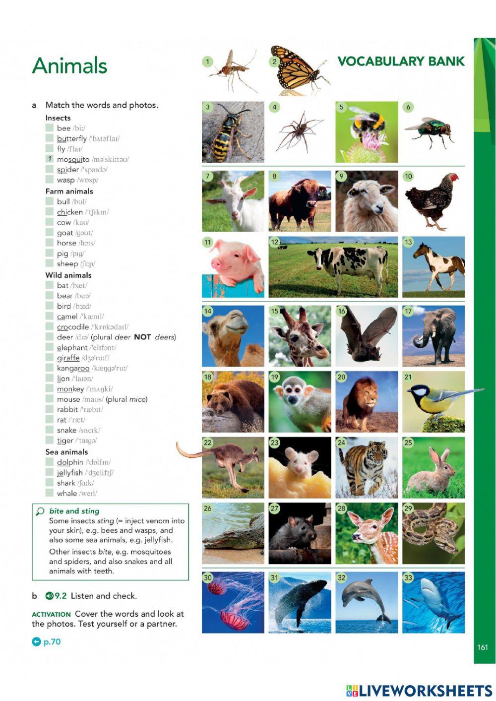 Unit 9 - Vocabulary Bank - Animals