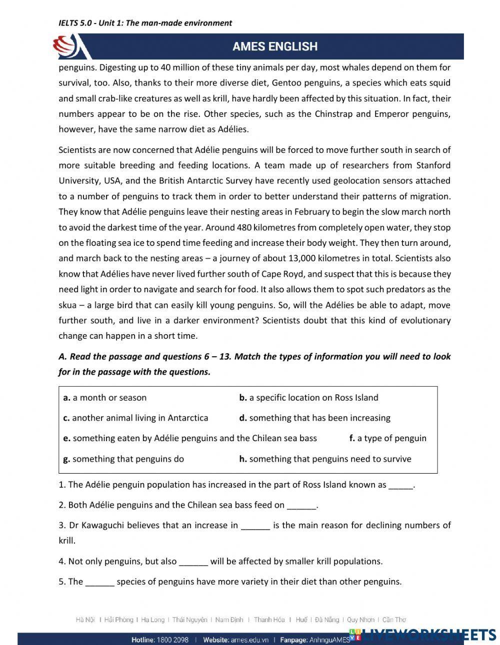 Mindset 2 - Unit 1 - Reading B