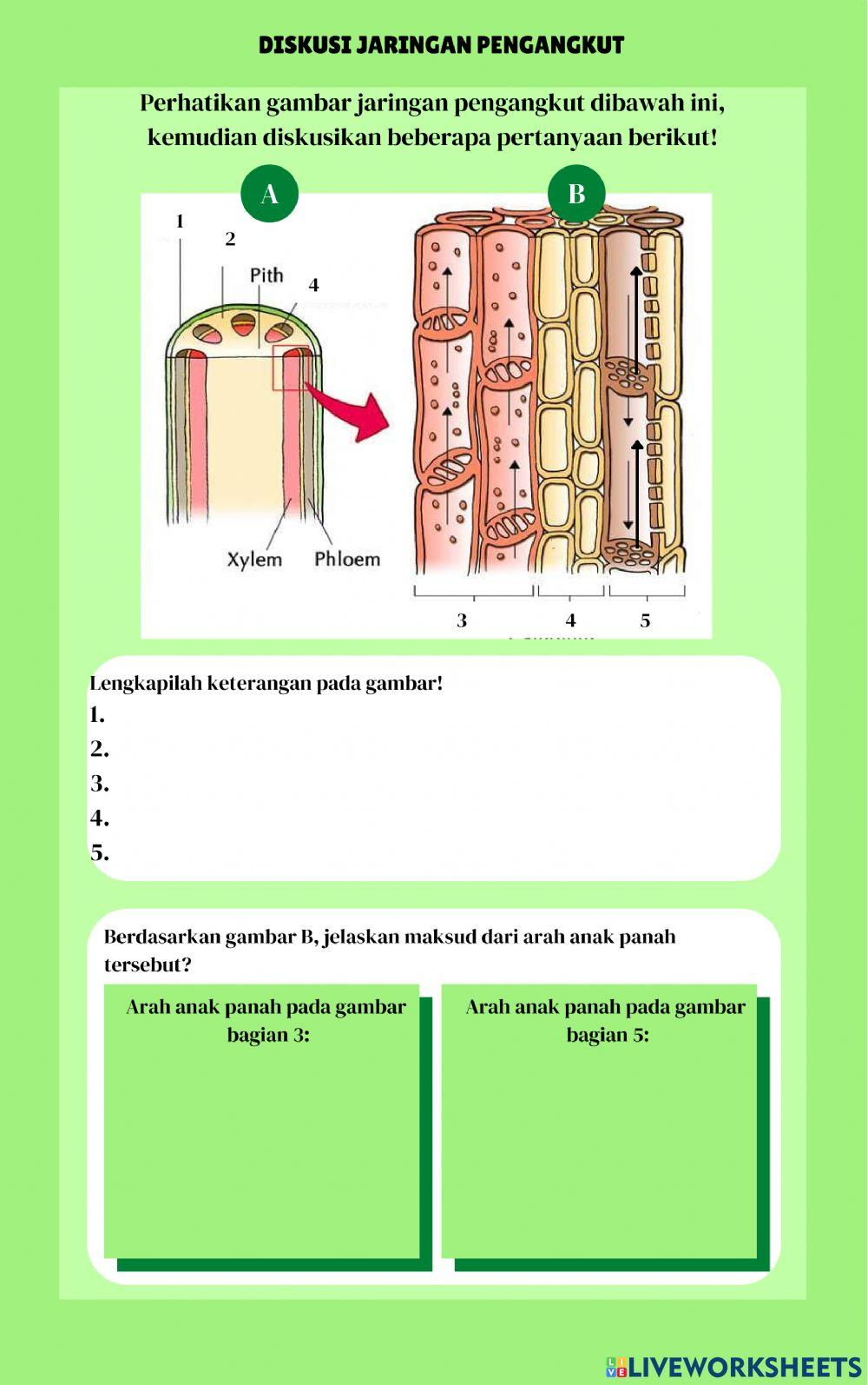 E-LKPD JARINGAN DEWASA TUMBUHAN