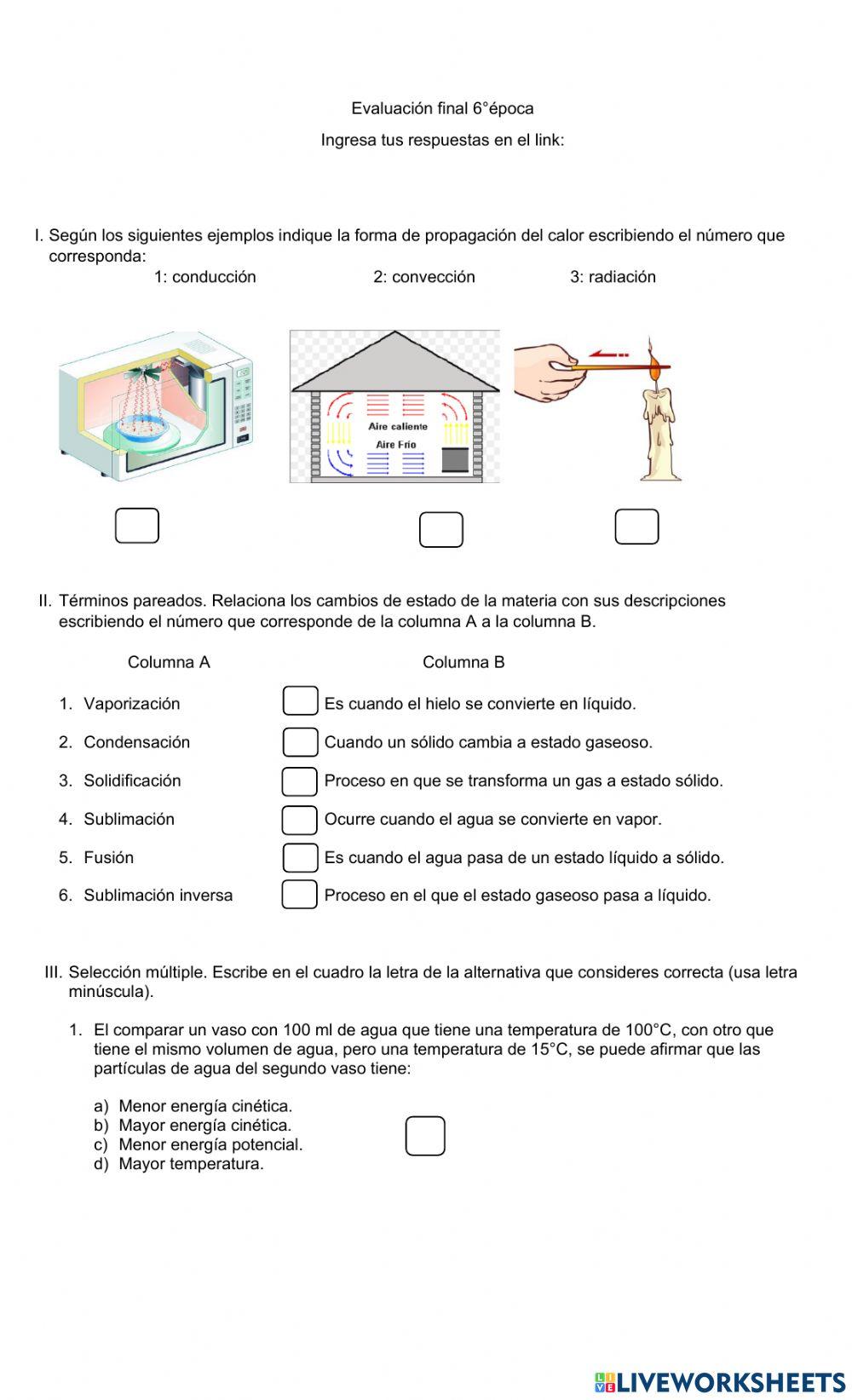 Evaluación final 6°época