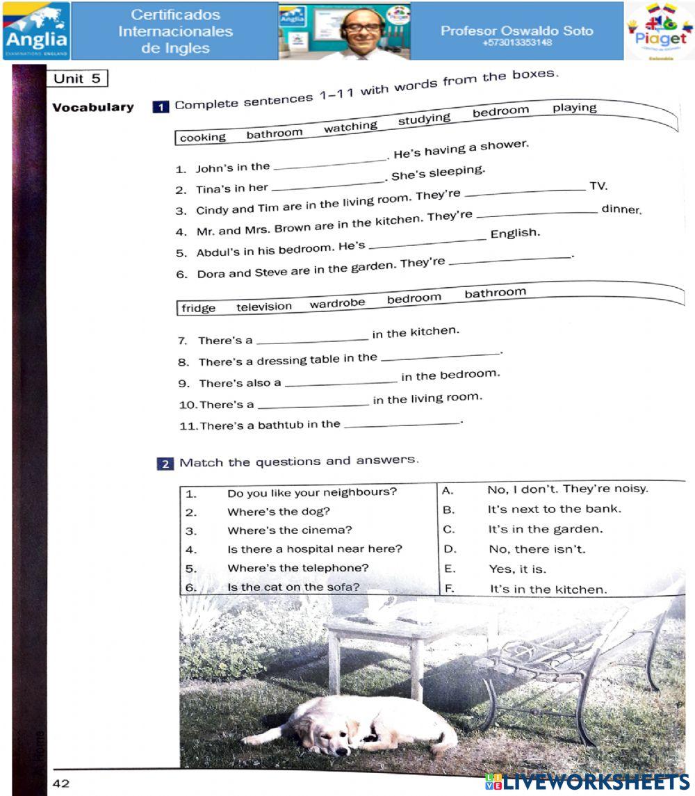 Step to preliminary page 42