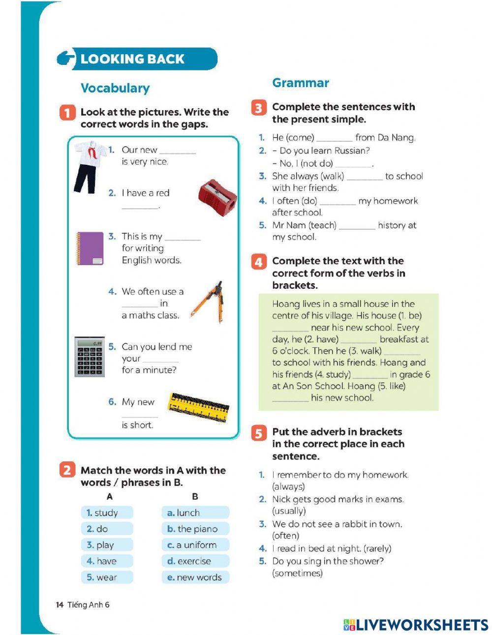English 6-unit 1- looking back