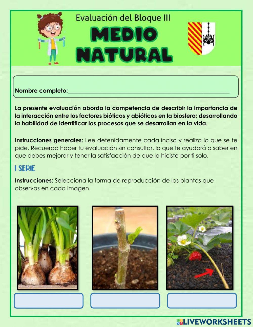 Evaluación Bloque III Medio Natural