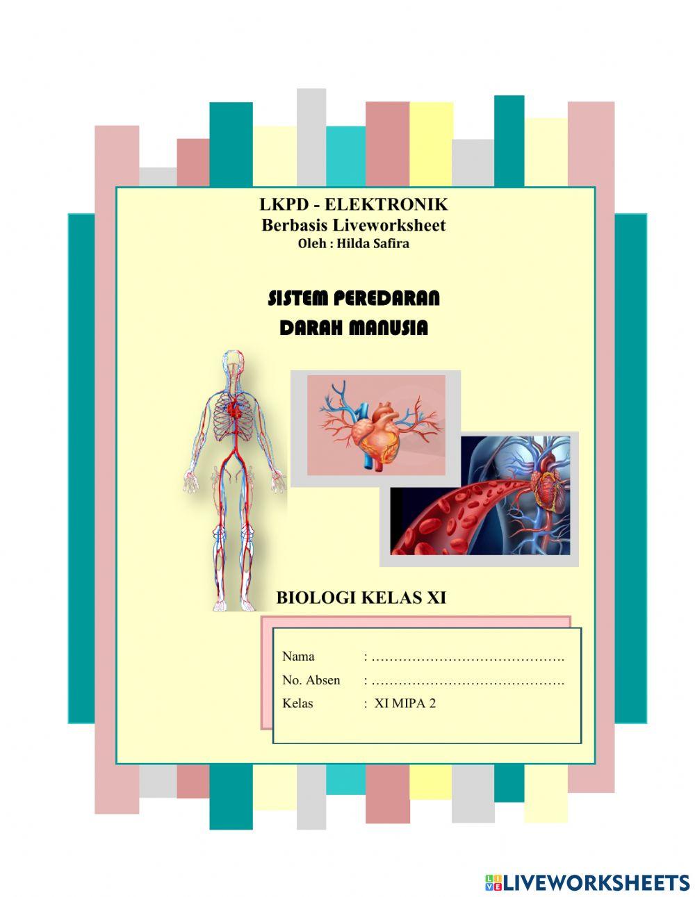 Lkpd elektronik sistem sirkulasi