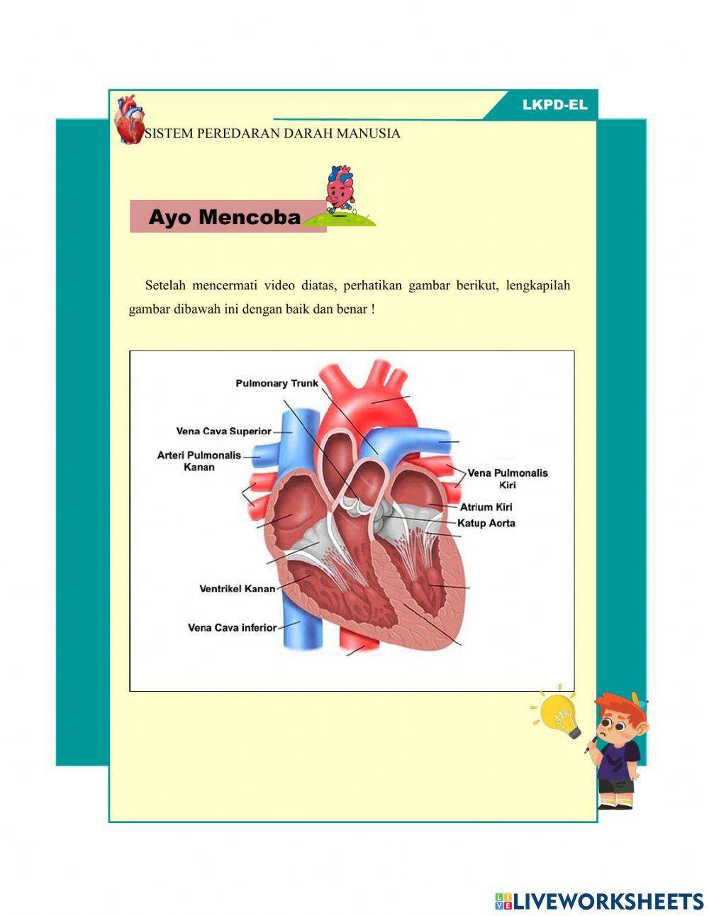 Lkpd elektronik sistem sirkulasi