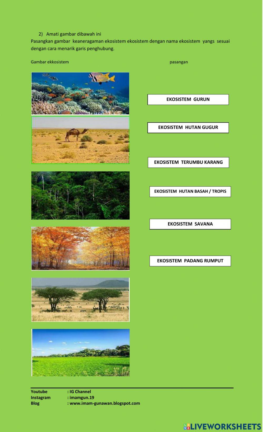 Keanekagaraman hayati