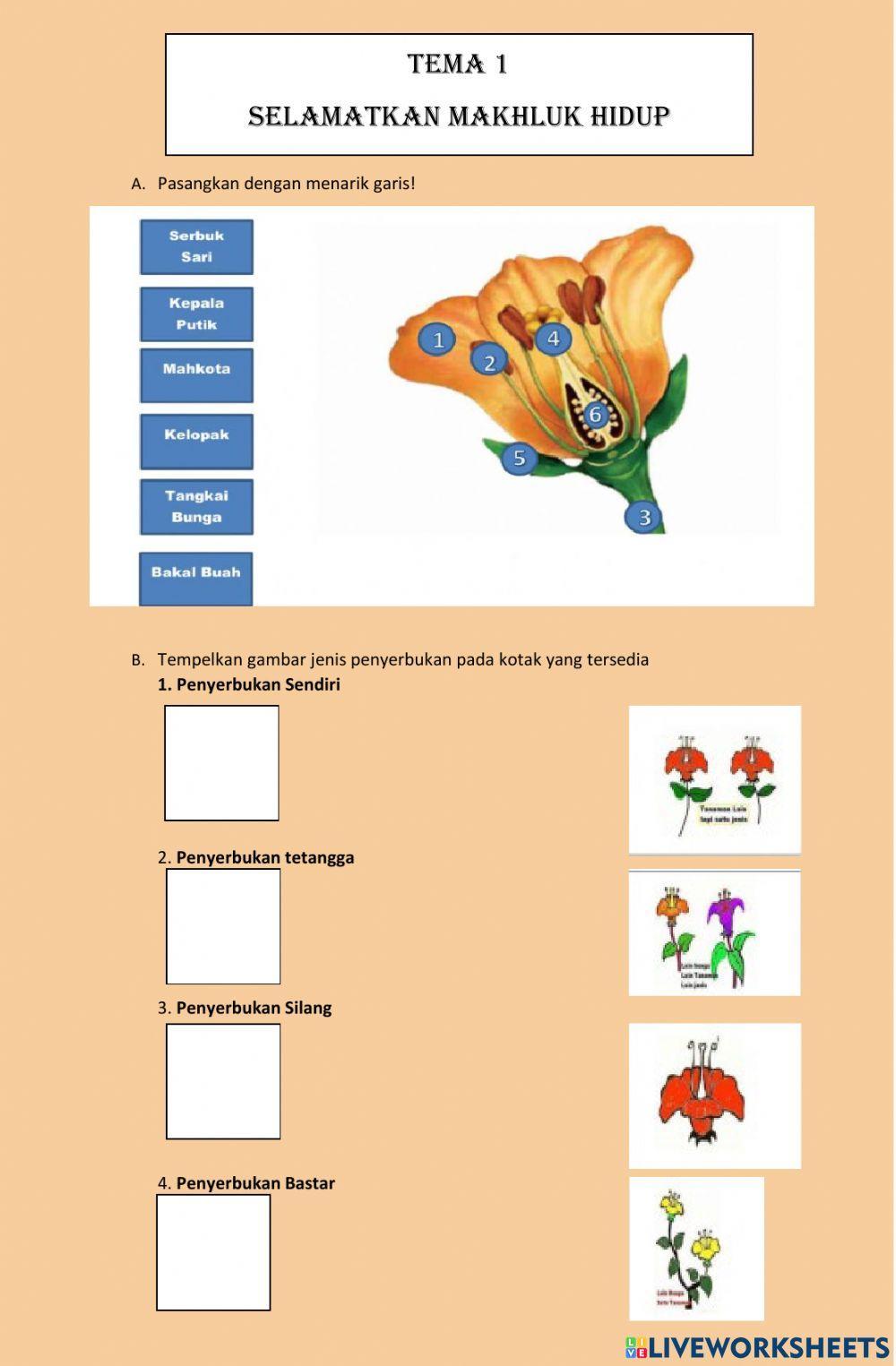 Perkembangbiakan generatif dan vegetatif pada tumbuhan