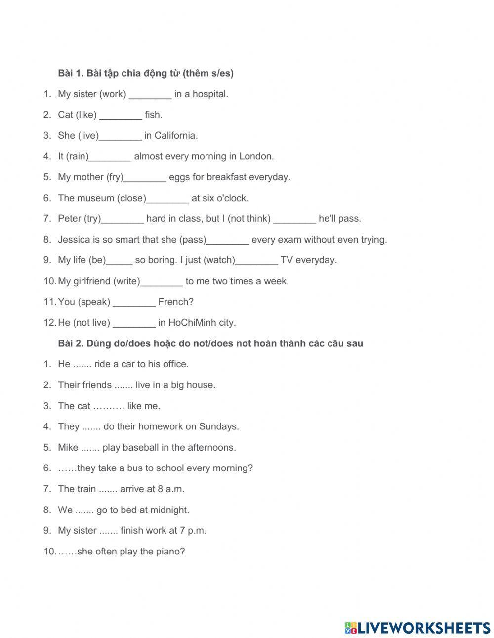 Bài tập thì hiện tại đơn