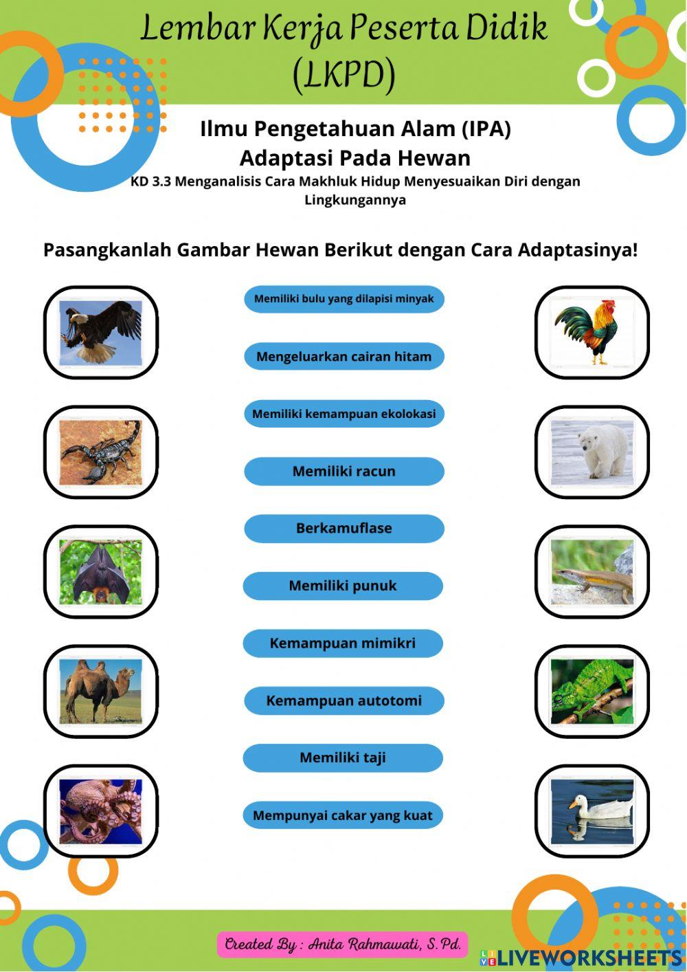 LKPD IPA Kelas 6 Adaptasi Hewan  3.3