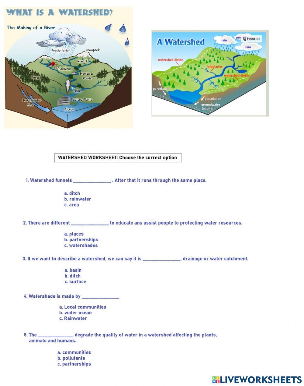 Ingles-English