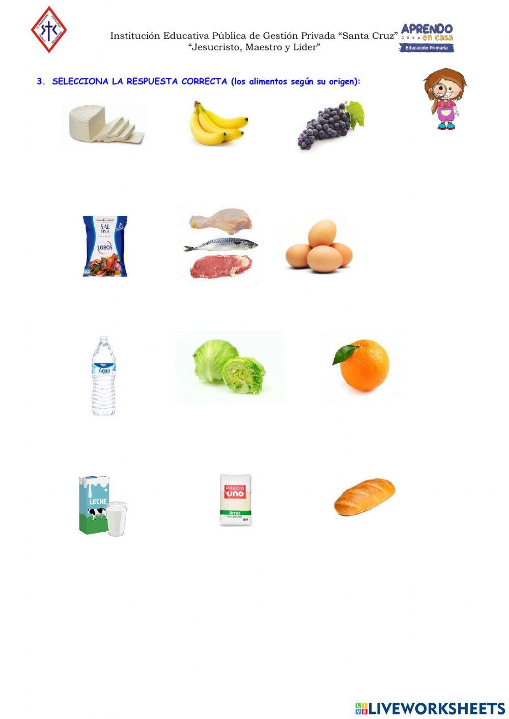 Clasificación de los alimentos