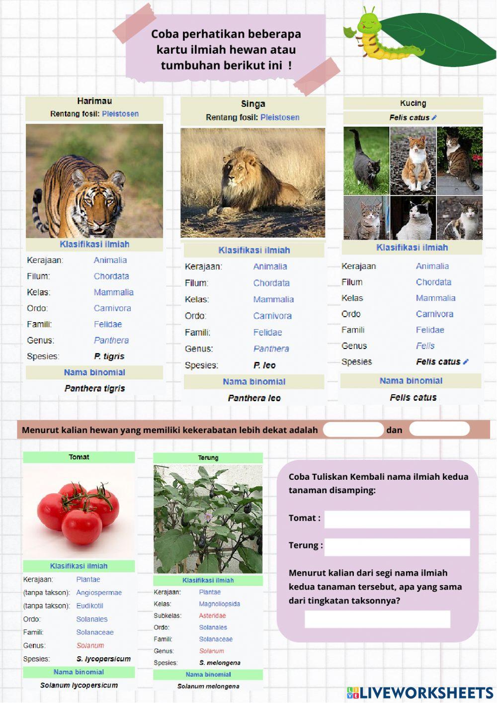 Taksonomi Makhluk Hidup