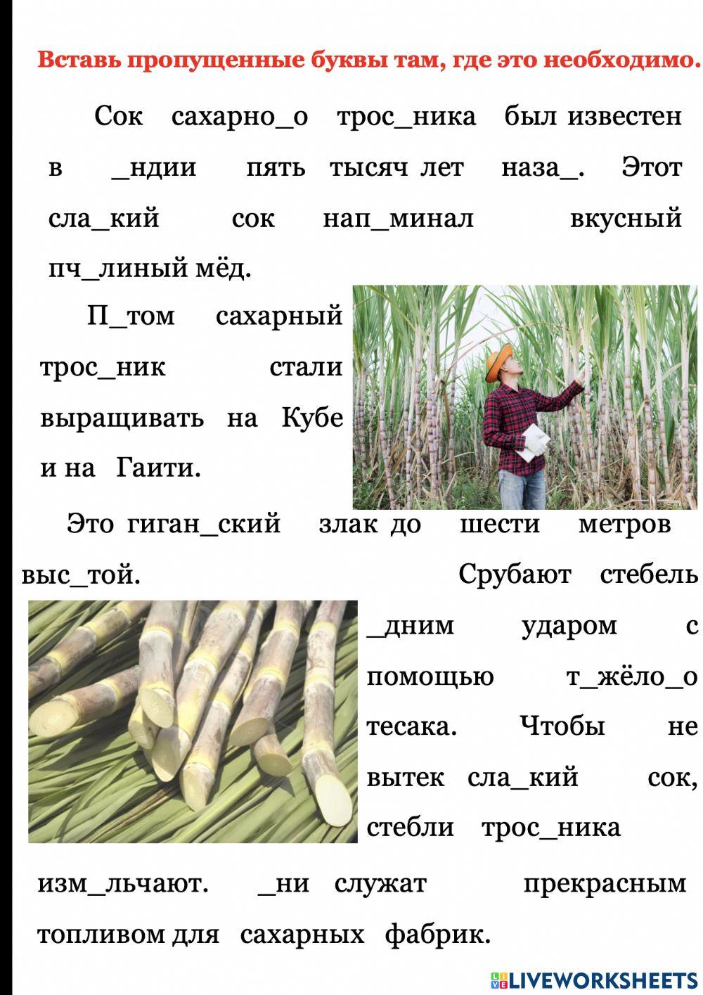 Проверяемые в корне слова буквы