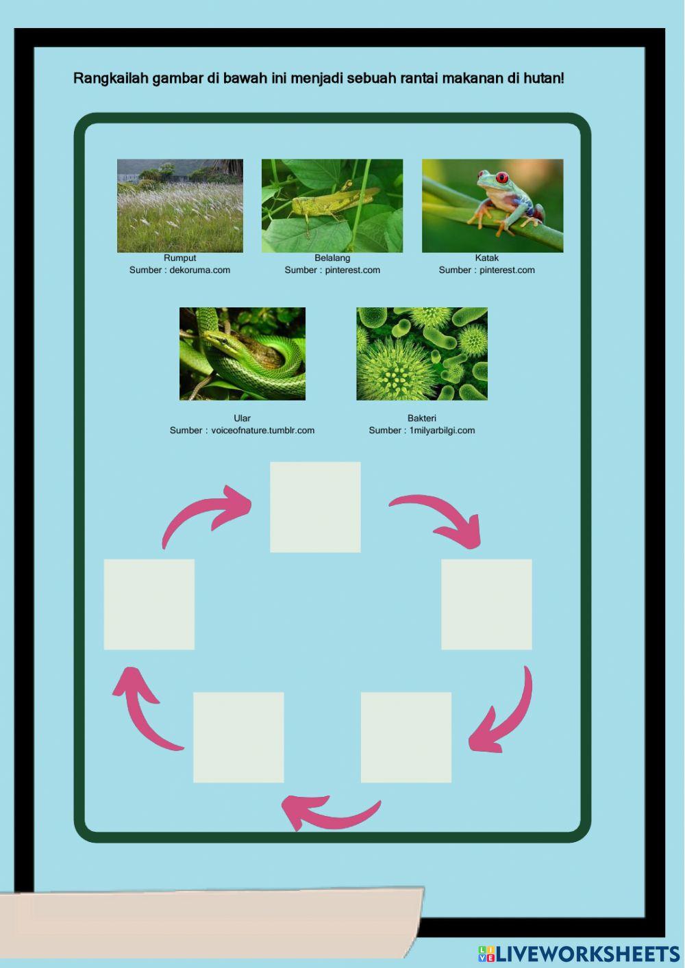 LKPD Interaksi Mahluk Hidup