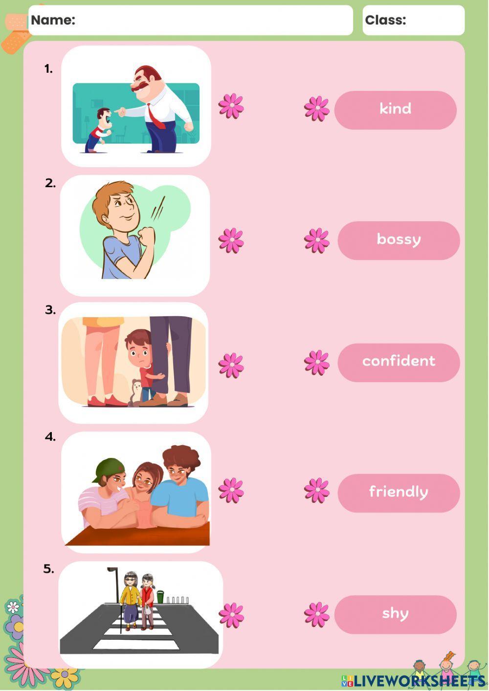 What is she-he like?