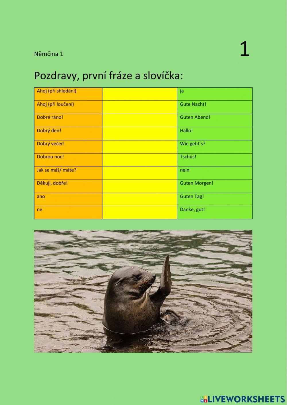 NEM 1 - Pozdravy, první fráze a slovíčka - drag and drop