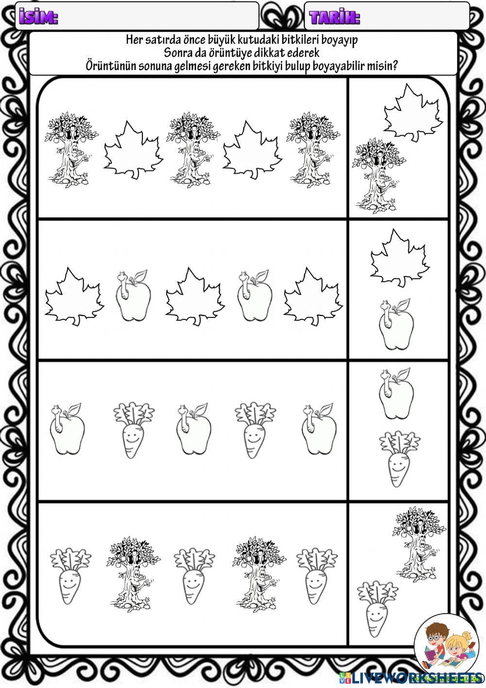 Örüntü Çalışması