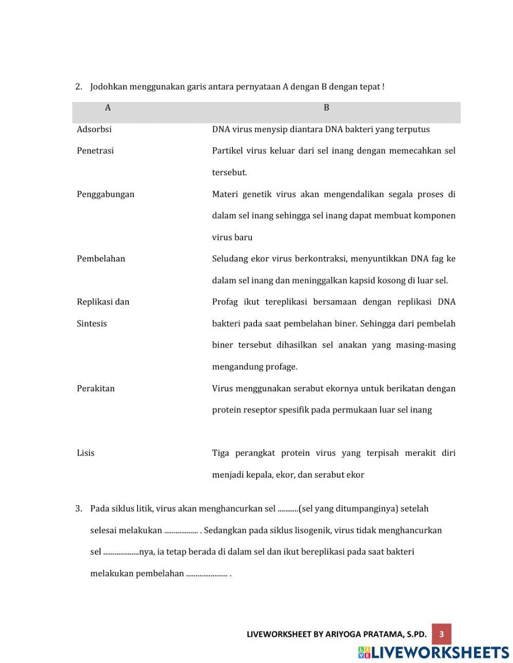Virus:Siklus dan Peranannya
