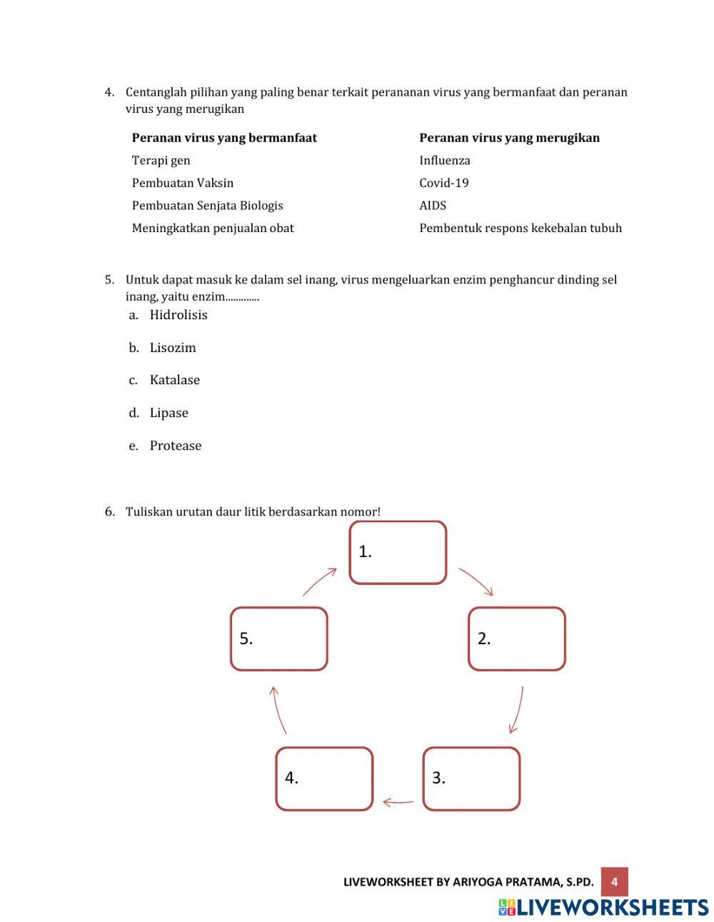 Virus:Siklus dan Peranannya