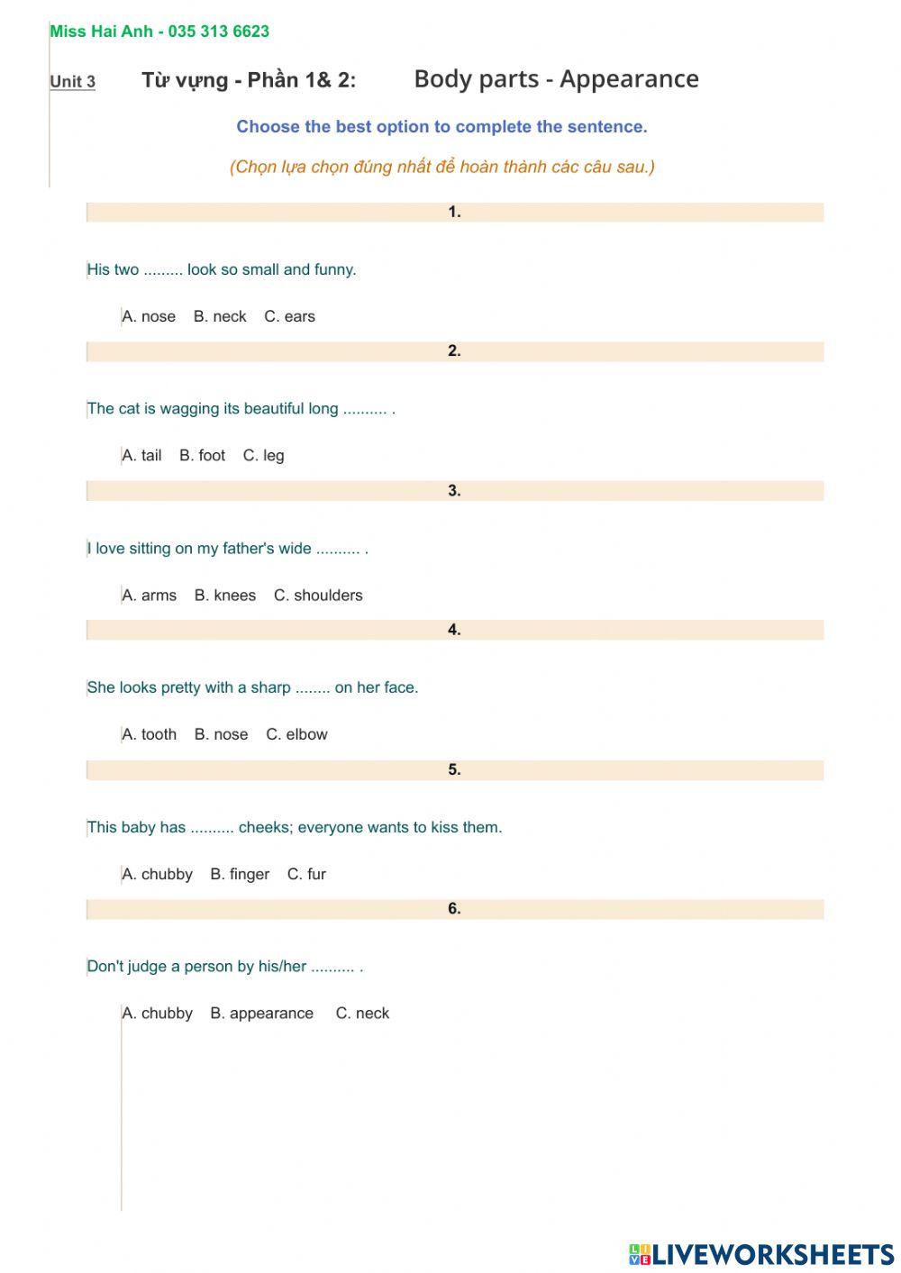 Ôn tập từ vựng Unit 3-English 6