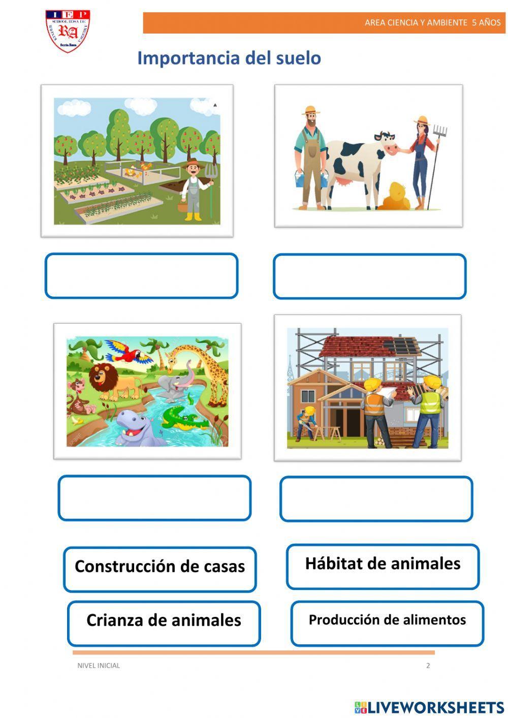 Contaminacion e importancia del suelo