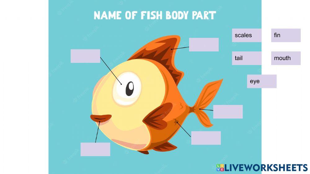 Partes de animales y cuerpo humano