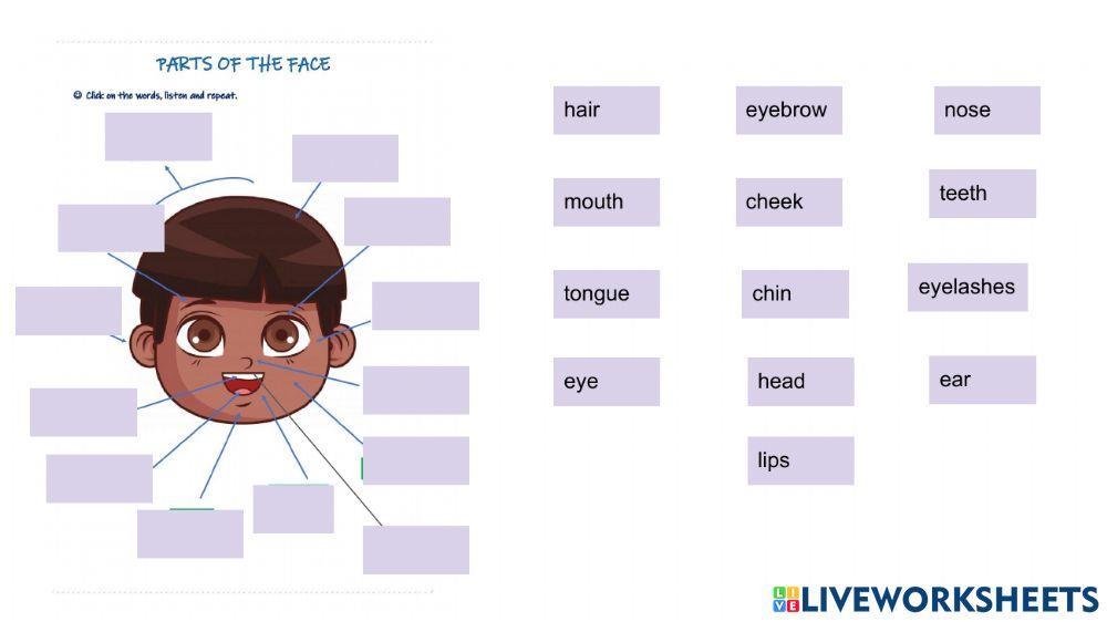 Partes de animales y cuerpo humano