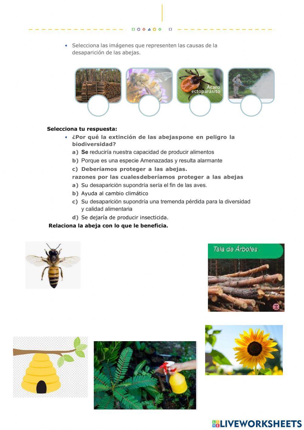 Las abejas en peligro de extinción