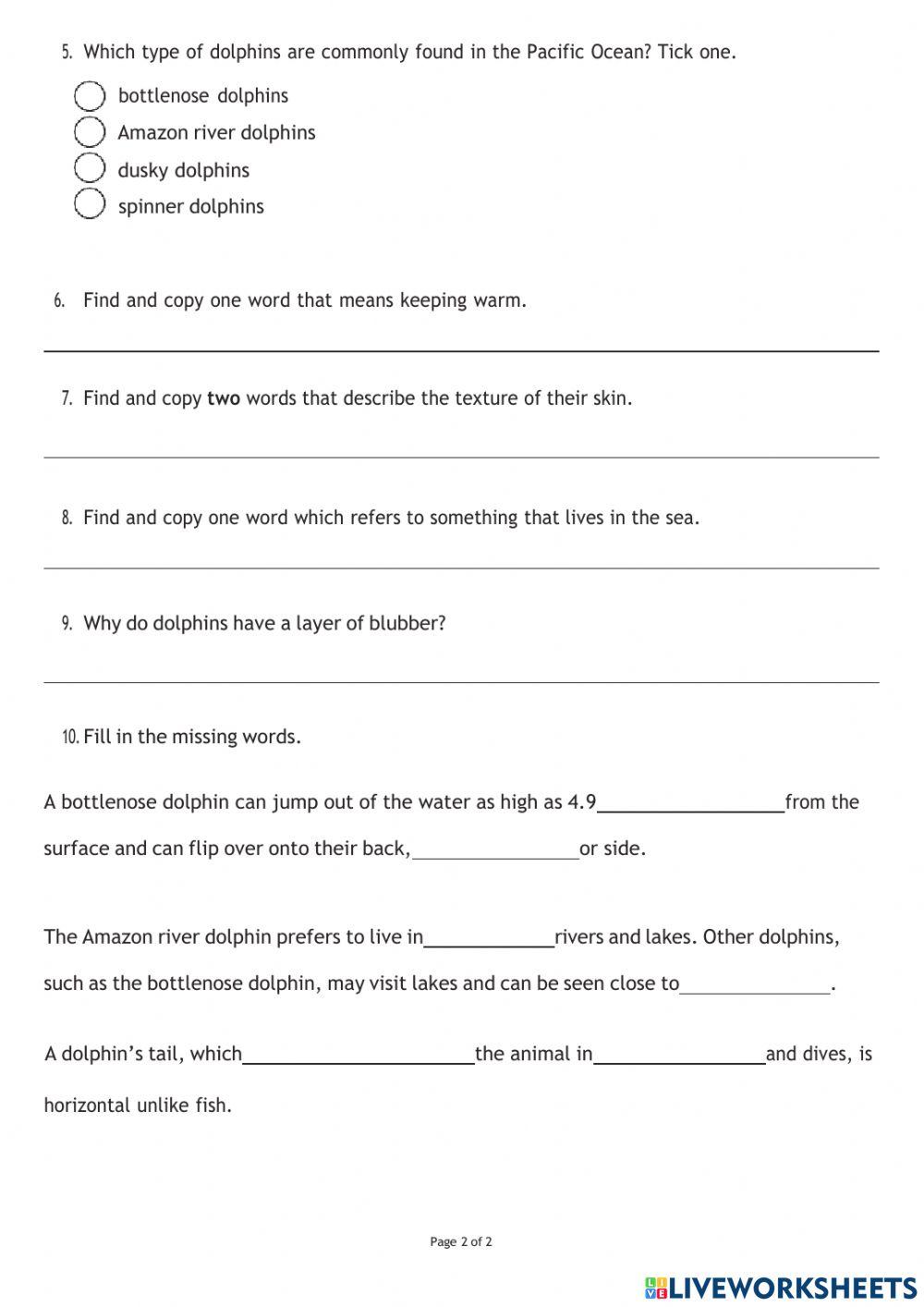 Reading Comprehension