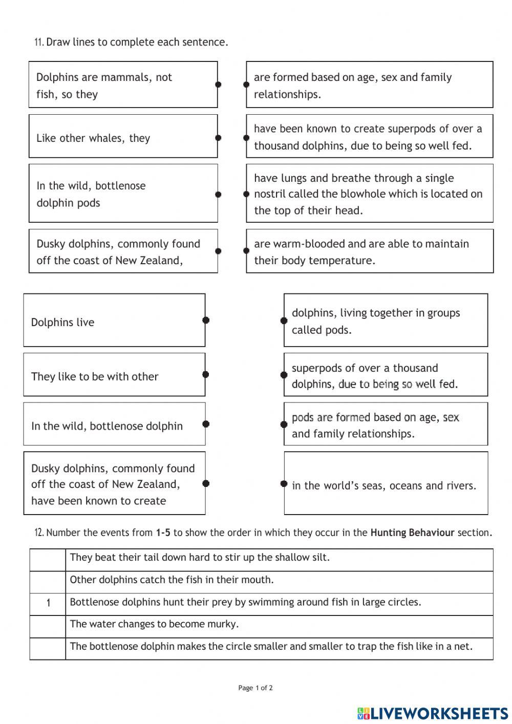 Reading Comprehension