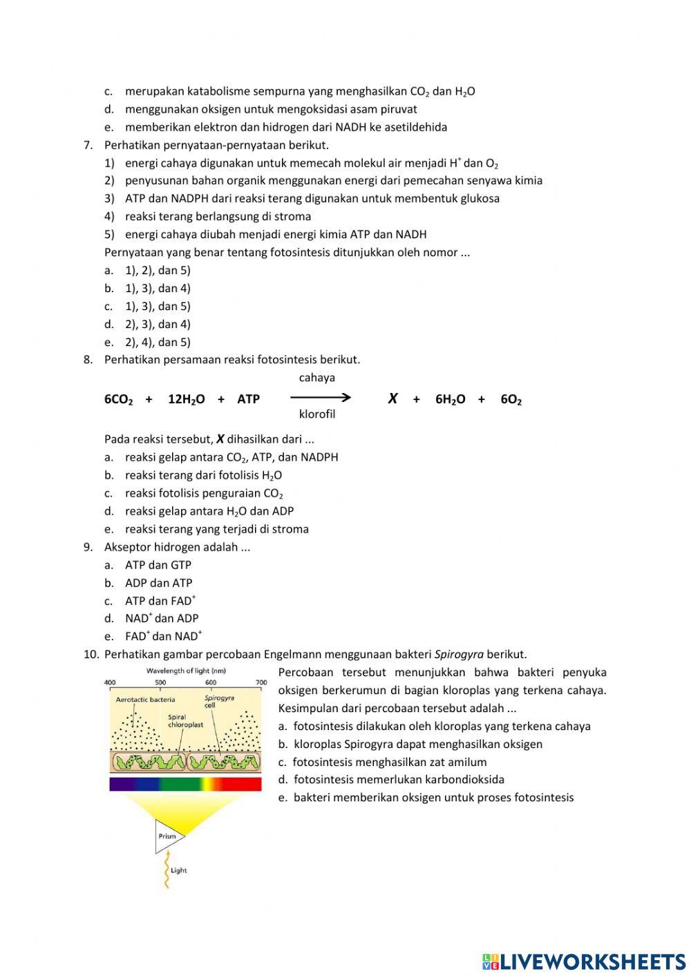 Penilaian harian bab 2