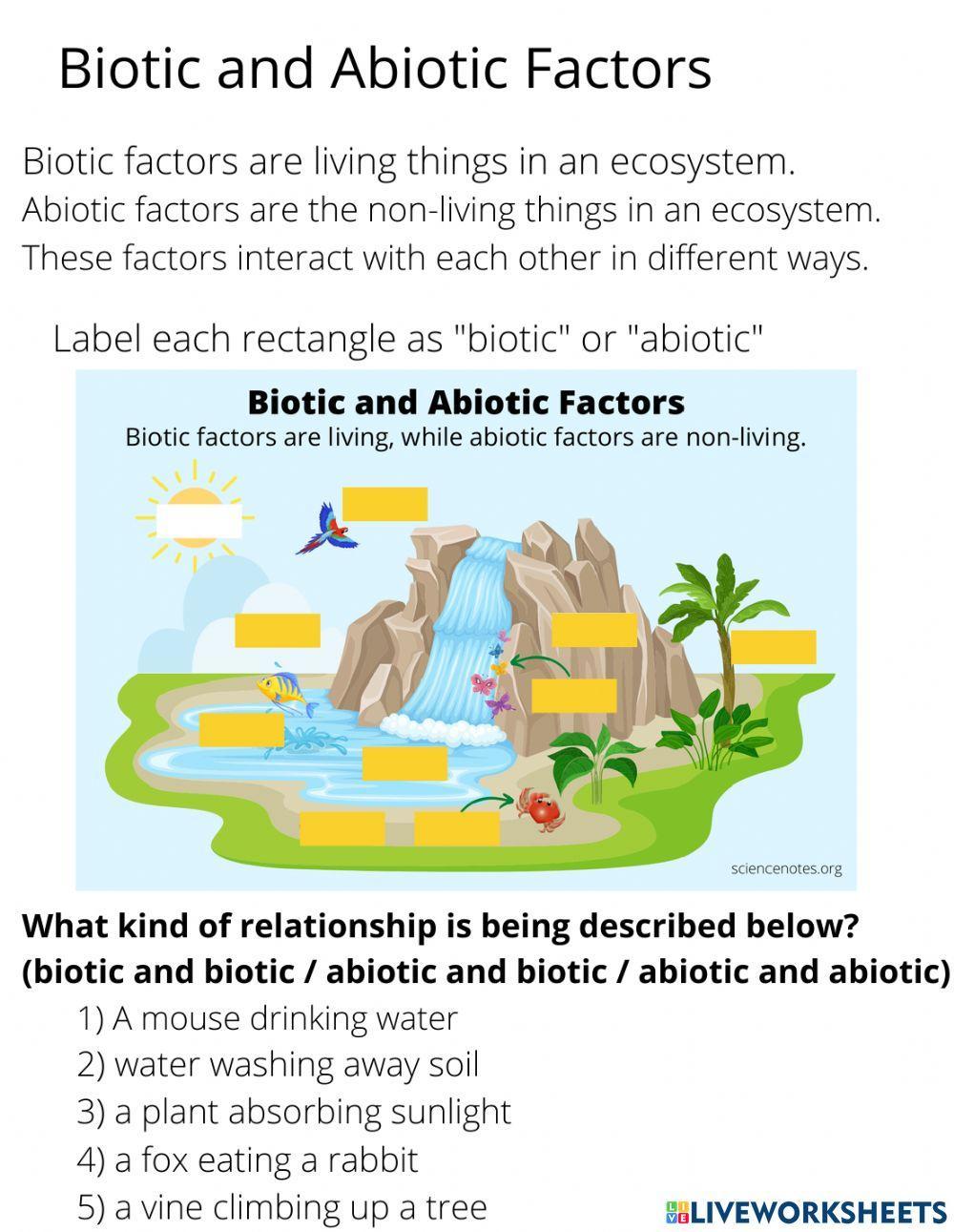 Biotic and Abiotic Factors Biotic and Abiotic Factors