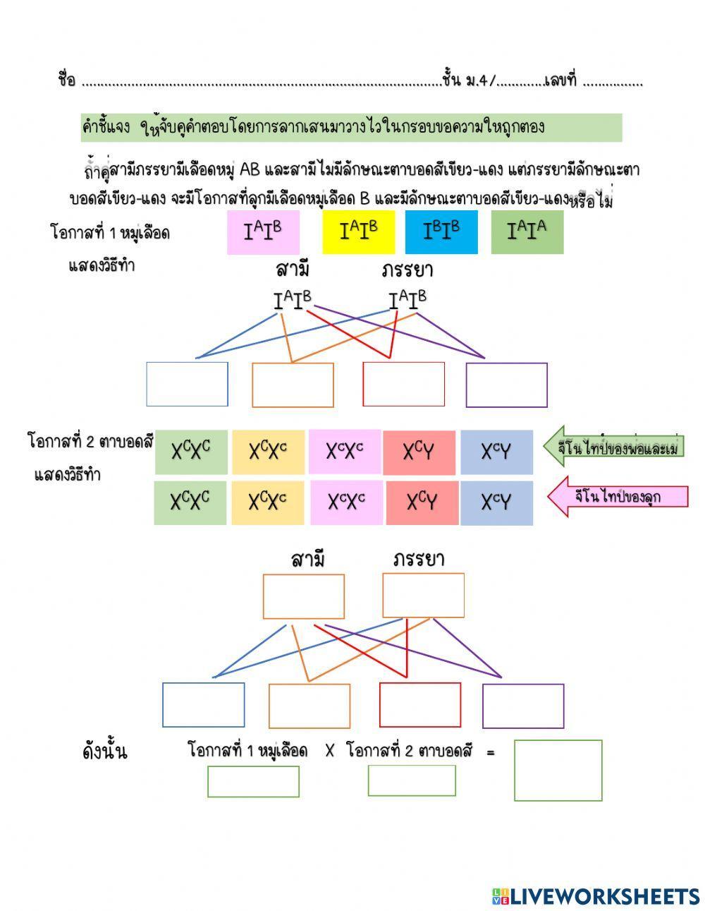 การถ่ายทอดลักษณะทางพันธุกรรม