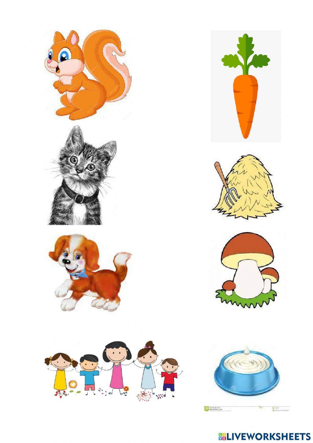 Хто що їсть