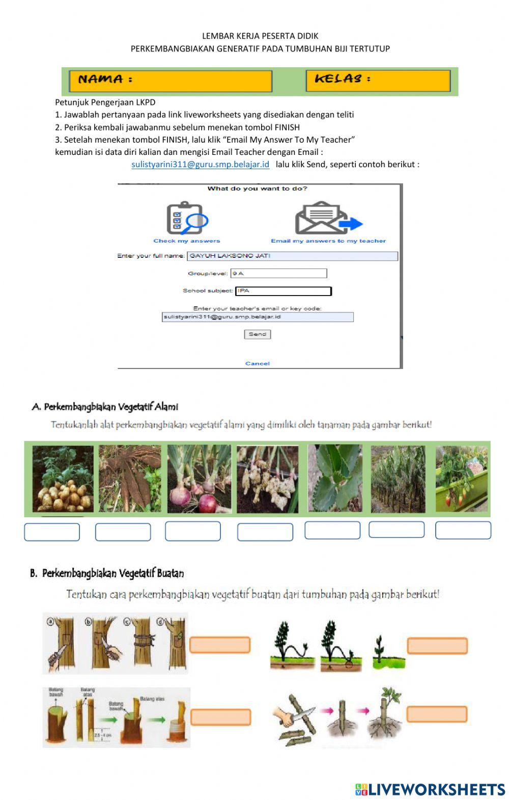 REPRODUKSI TUMBUHAN ANGIOSPERMAE