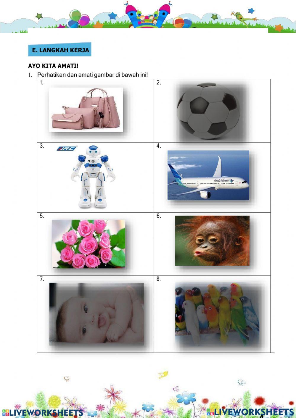 Klasifikasi makhluk hidup